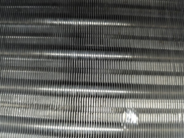 thumbabdea850a4554d9dd40b88f1e66f0f32_1748153521_0286.jpg