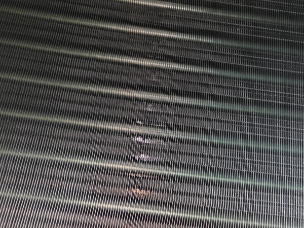 thumb7b057abd9900d7d14c354f0d2ebf6efe_1749053843_4111.jpg