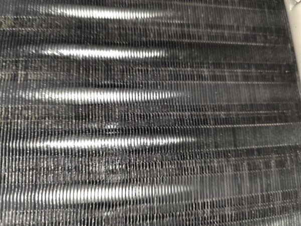 thumb7b057abd9900d7d14c354f0d2ebf6efe_1749053973_8443.jpg