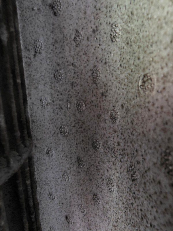 thumb80d66c9781e38e4c6821ab574b72fc78_1749311918_4772.jpg