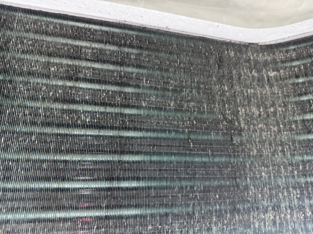 /user/c/cheongsolclean/editor/2510/071d2bb48428061e6795b9227b161adb_1761092576_2258.jpg 이미지크게보기