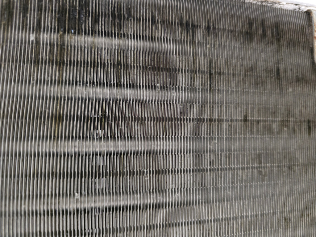 /user/c/cheongsolclean/editor/2510/8520c1f5f3776b719acc069b7334abe8_1761447864_5385.jpg 이미지크게보기