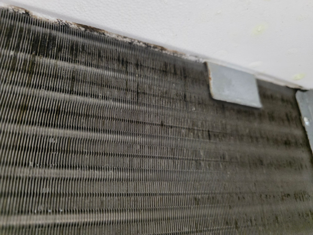 /user/c/cheongsolclean/editor/2510/8520c1f5f3776b719acc069b7334abe8_1761447864_8263.jpg 이미지크게보기