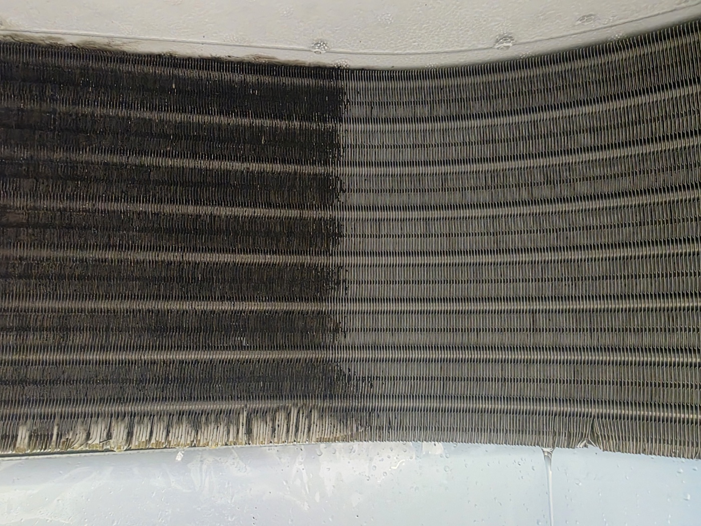 /user/c/cheongsolclean/editor/2510/a9f836f132e6de7970d94efb7af09e10_1761249278_6836.jpg 이미지크게보기