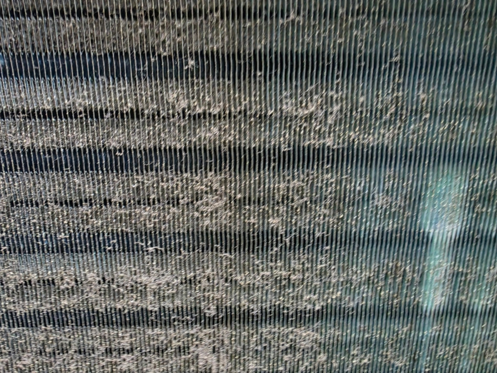 /user/c/cheongsolclean/editor/2511/87bfe67dc21d8091cc37d1d5903059e8_1762223671_2292.jpg 이미지크게보기