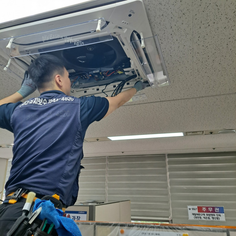 /user/c/cheongsolclean/editor/2511/87bfe67dc21d8091cc37d1d5903059e8_1762223909_9748.jpg 이미지크게보기