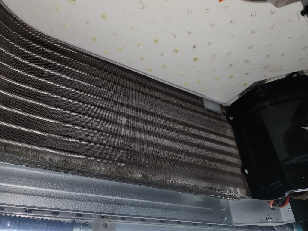 /user/c/cheongsolclean/editor/2511/87bfe67dc21d8091cc37d1d5903059e8_1762223931_4825.jpg 이미지크게보기