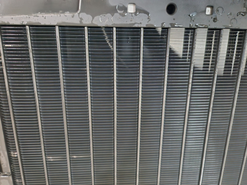 /user/c/cheongsolclean/editor/2511/87bfe67dc21d8091cc37d1d5903059e8_1762224341_5391.jpg 이미지크게보기