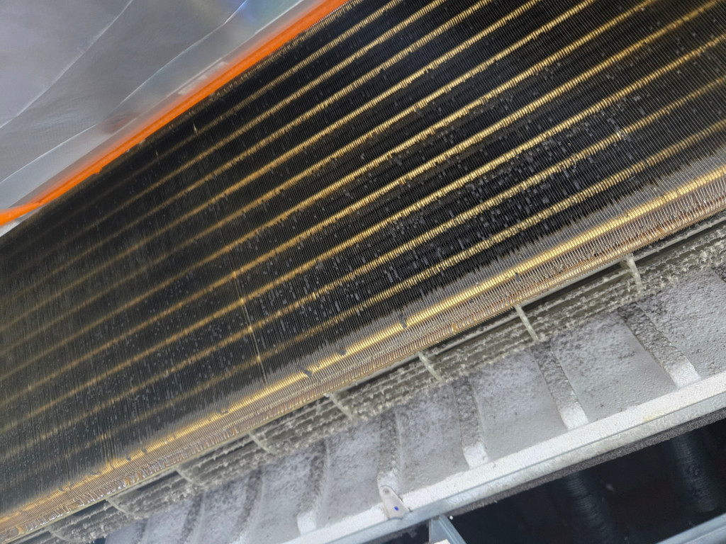 /user/c/cheongsolclean/editor/2511/e0b208fee4f36bb044a4f52bb5c7fdac_1762739270_2901.jpg 이미지크게보기