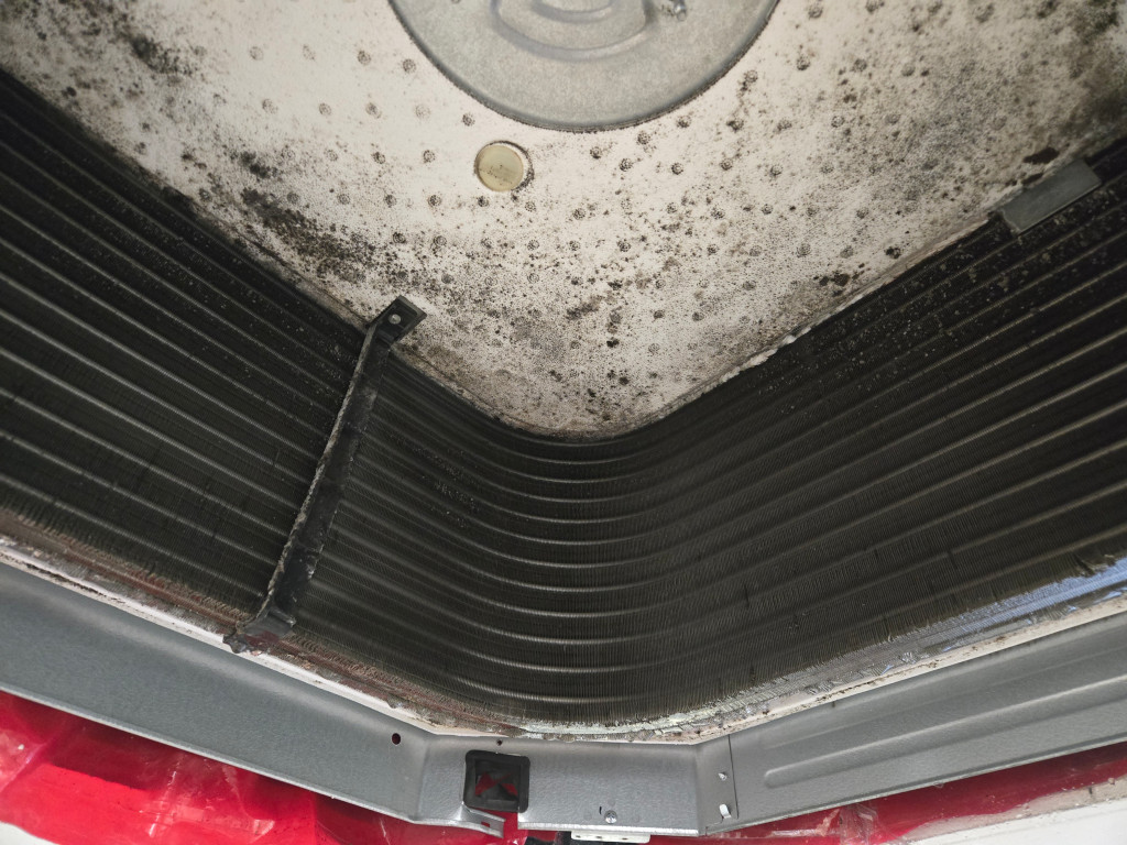 /user/c/cheongsolclean/editor/2511/e0b208fee4f36bb044a4f52bb5c7fdac_1762739279_7153.jpg 이미지크게보기