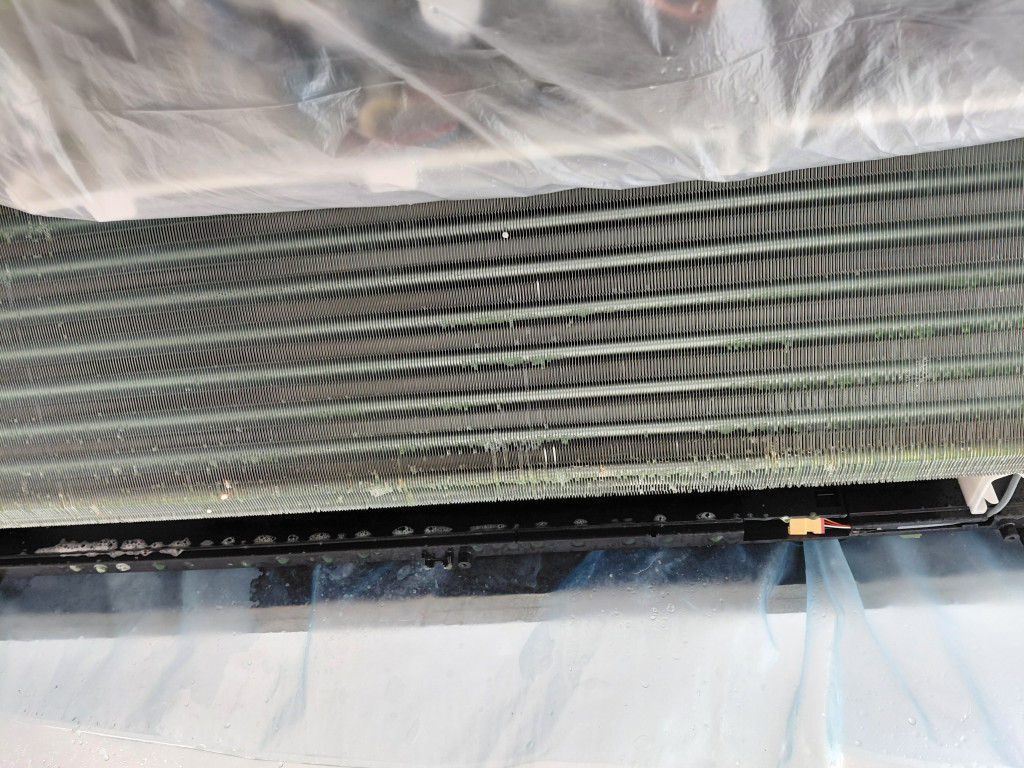 /user/c/cheongsolclean/editor/2511/e0b208fee4f36bb044a4f52bb5c7fdac_1762739453_2714.jpg 이미지크게보기