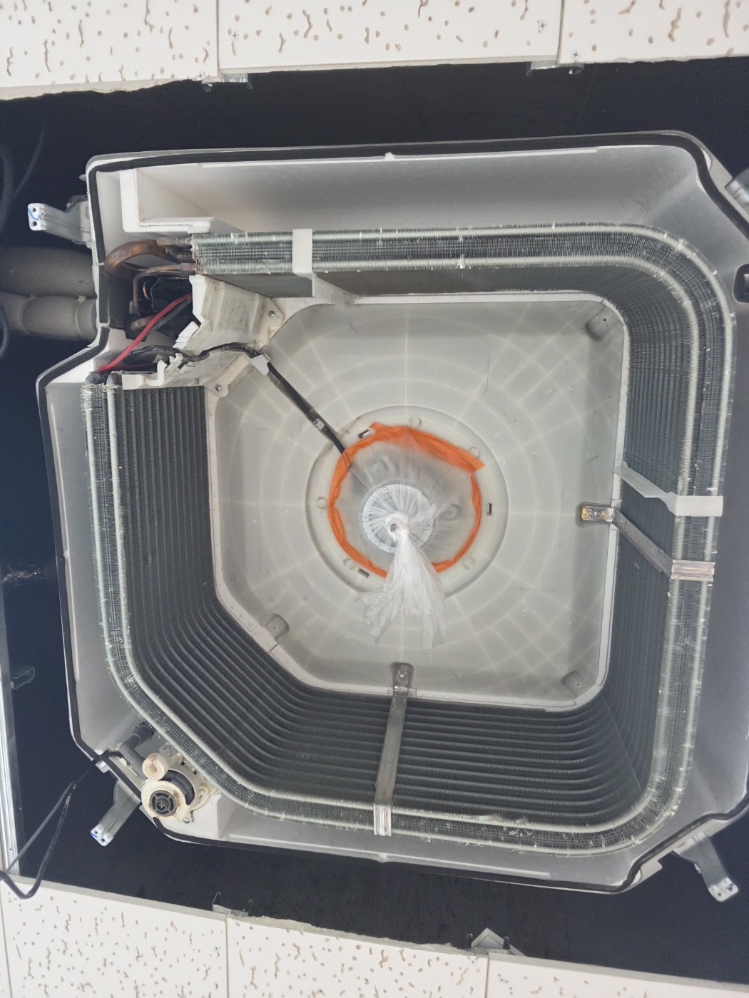 /user/c/cheongsolclean/editor/2512/a99d124638df74620b86da68e33635e6_1765098712_612.jpg 이미지크게보기