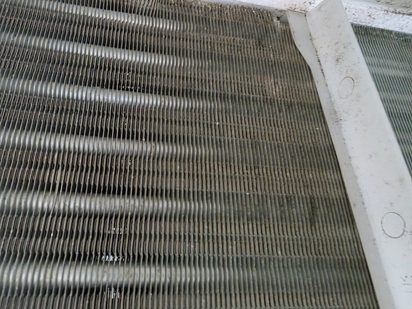 /user/c/cheongsolclean/editor/2512/a99d124638df74620b86da68e33635e6_1765098713_0722.jpg 이미지크게보기