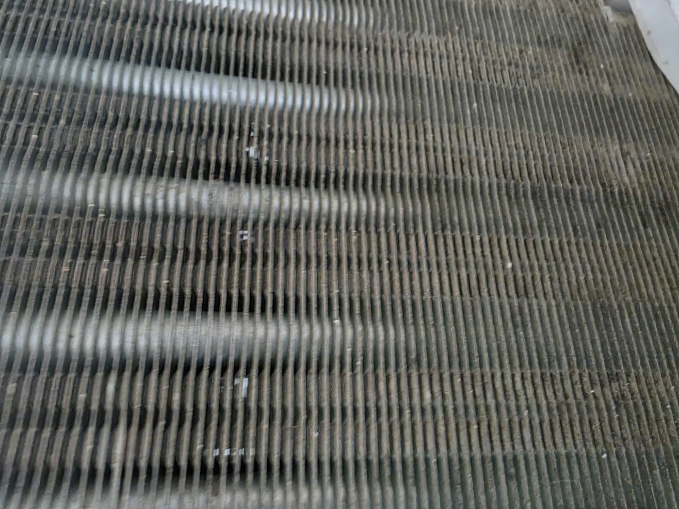 /user/c/cheongsolclean/editor/2512/a99d124638df74620b86da68e33635e6_1765098713_3044.jpg 이미지크게보기