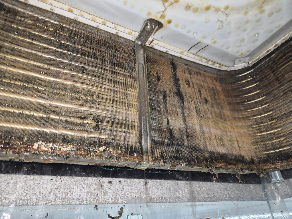 /user/c/cheongsolclean/editor/2602/67bb5494e03c42c606c4cf35cb22089f_1771422446_5591.jpg 이미지크게보기